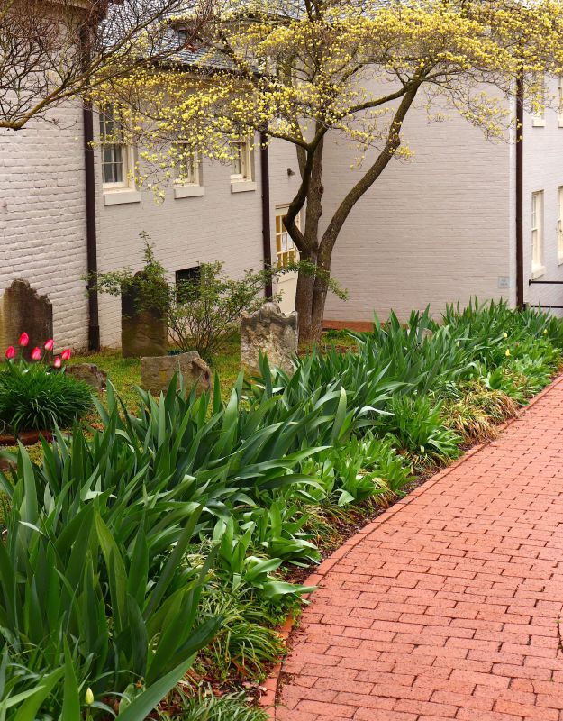 Brick Pathway Repair in Dallas, TX
