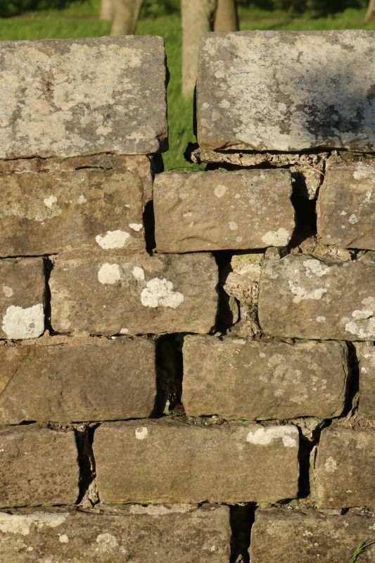 Stone Wall Repair in Wylie, TX